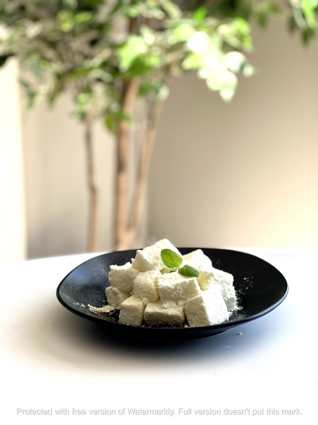 Chinese Milk Pudding